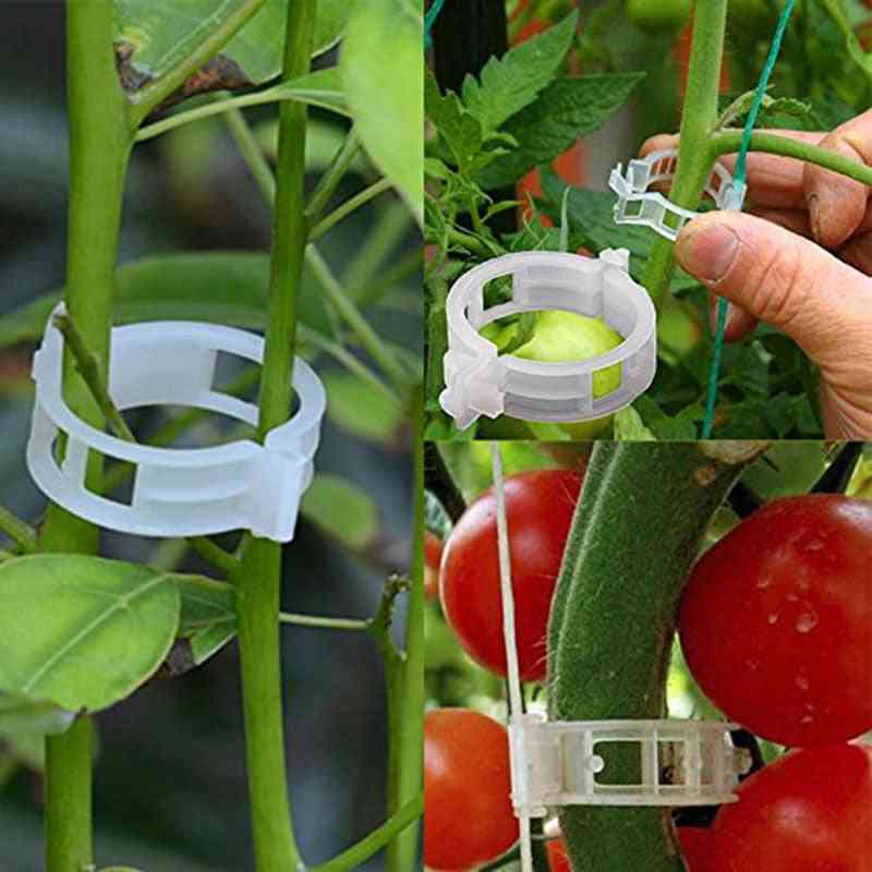 50 / 100stk gjenbrukbare 25mm plastplanteunderstøtningsklemmer klemmer for planter hengende vingård hage grønnsaker