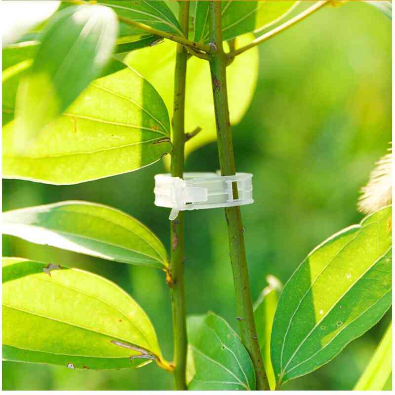 50/100 stks herbruikbare 25mm plastic plantensteun clips klemmen voor planten opknoping wijnstok tuin kas groenten