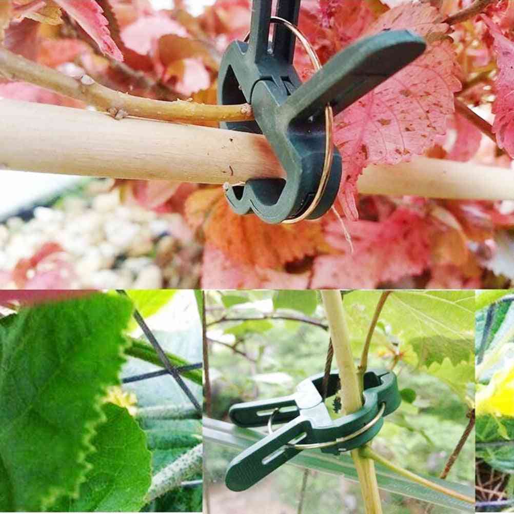20 pcs prendedor suporte suporte pólo braçadeira fixa plantas flor-haste de mudas suporte planta enxertia estacas conector conector