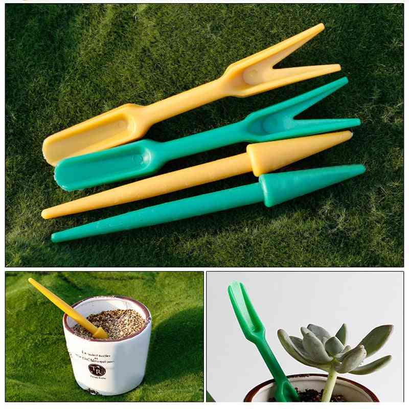 2st sådd suckulenter plantor planterade trädgårdssats - Bonsai gödselstansapparat -