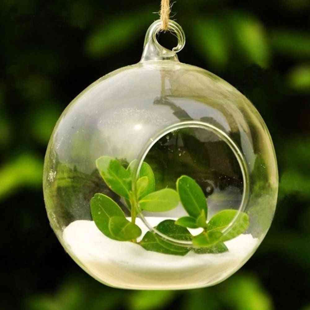 10 stk klart glas kugle hængende planter - terrarium container planter