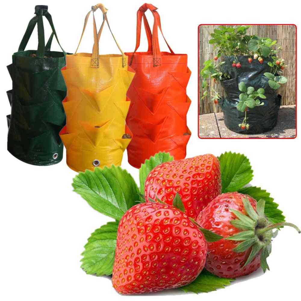 Erdbeer-Pflanzbeutel, 3 Gallonen Multi-Mund-Behälter, Wurzel-Bonsai-Pflanzentopf - Orange