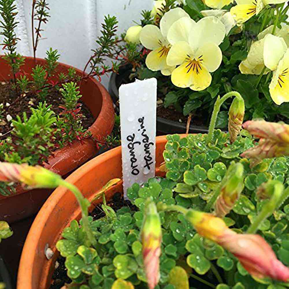 100pc Kunststoff Garten Pflanze Tags, Kindergarten Marker Blumentöpfe Sämling Etiketten Tablett