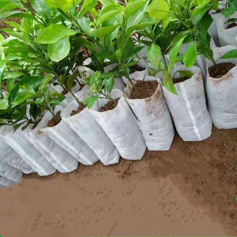 Seedling Plants Nursery Bags - Organic, Eco Friendly Ventilate