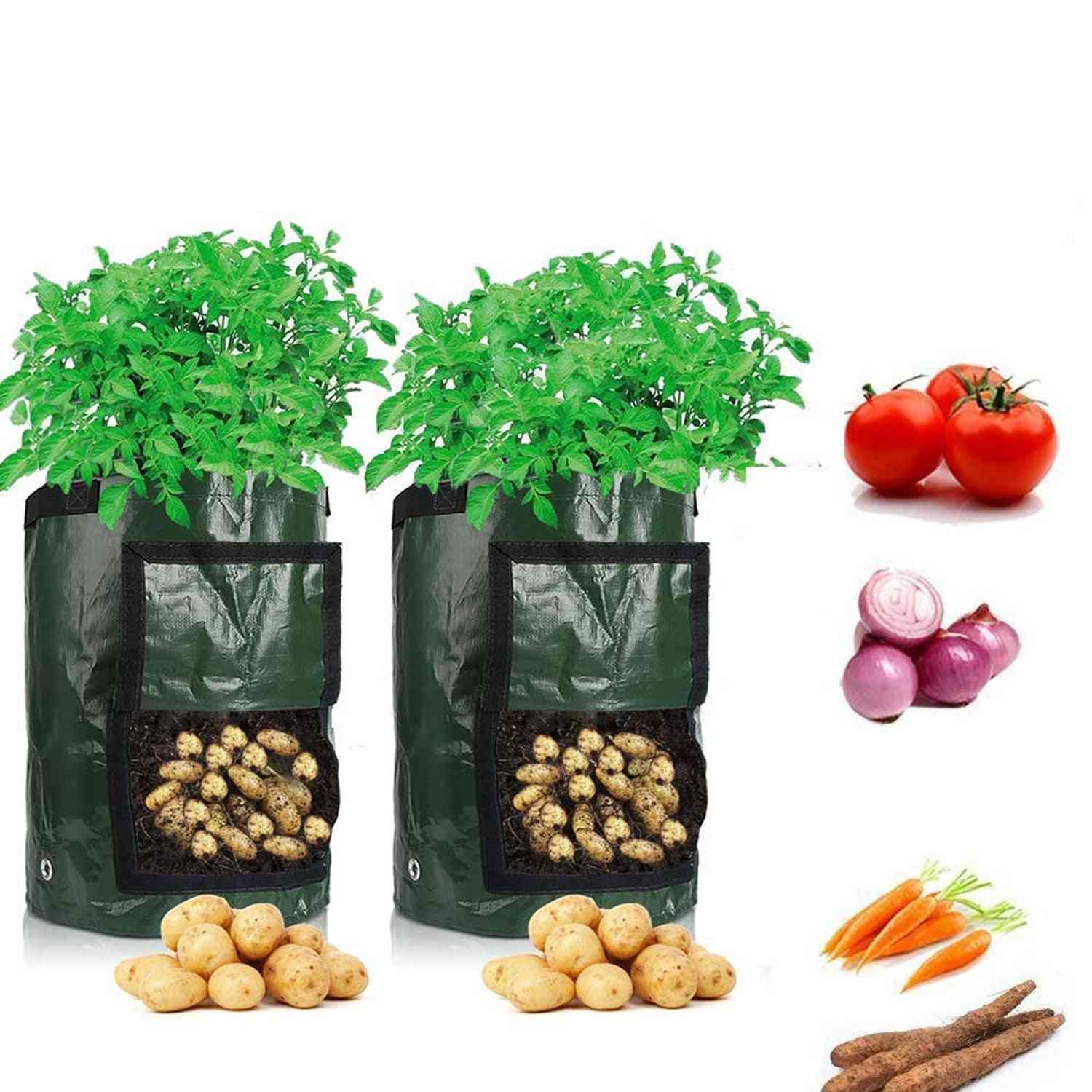Gojenje krompirja, saditev vrtne vrtnine tkane vrečke