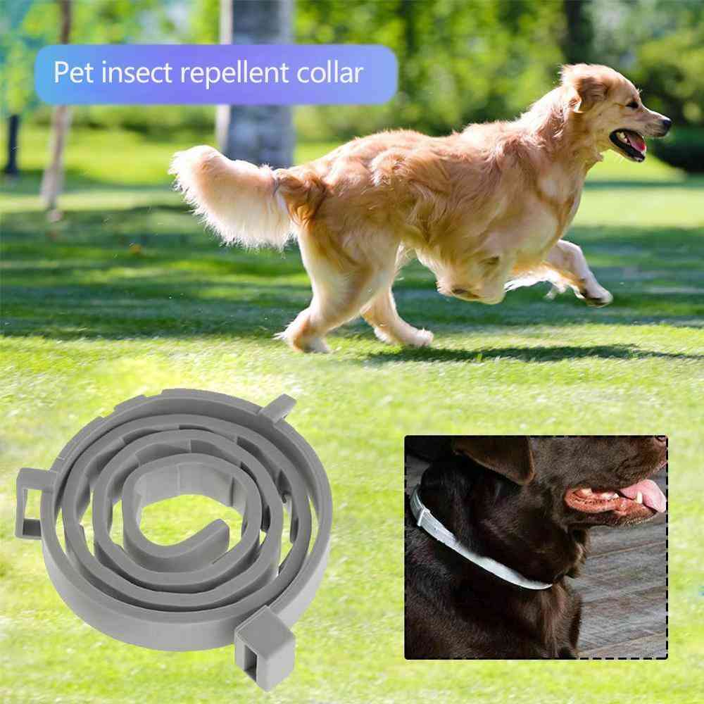 Anti Mosquito And Insect Repellent Flea &tick Dogs Cats Collars & Leads