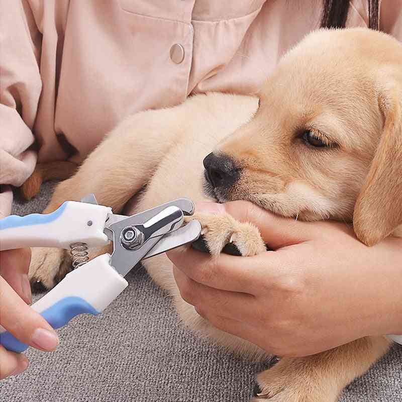 Kæledyr hundekat negle tå klo klipper, saks & trimmer - plejeværktøjer til dyr