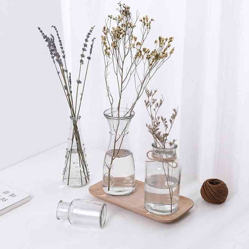 Preprosta kreativna steklena hidroponska rastlinska vaza