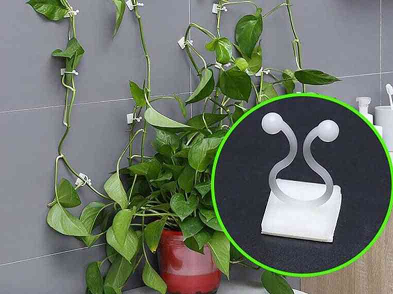 Invisible Wall Vines Fixture-sticky Hook For Plants