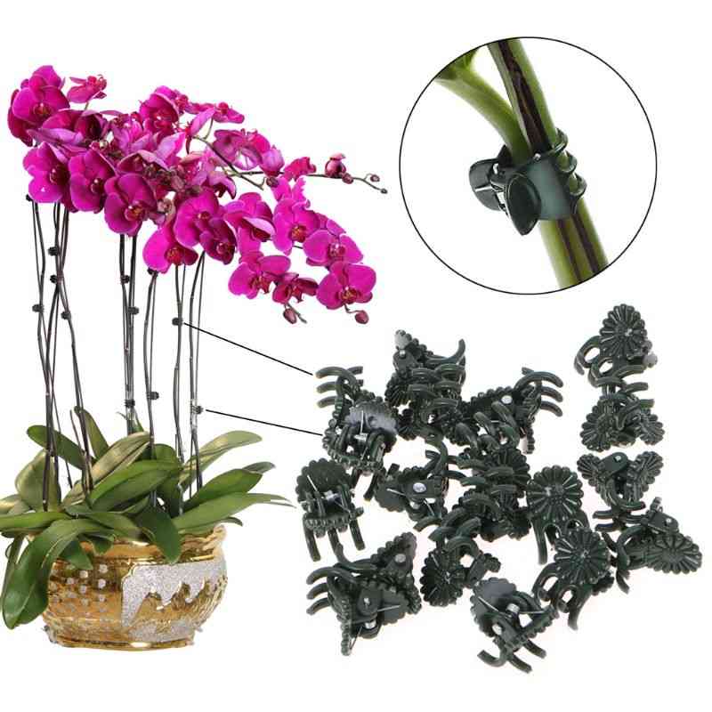 Clip de soporte de planta de plástico clip de vástago de orquídea para soporte de vid verduras flor atada rama sujetador herramienta de jardín