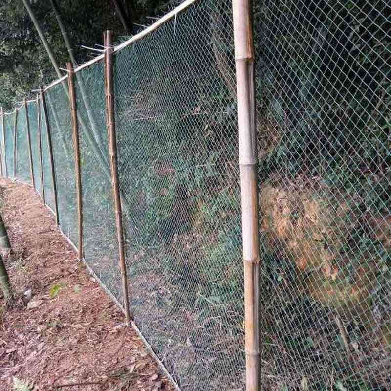 Vrtna ograda i usjevi, zaštitna mrežica za ograde protiv ptica