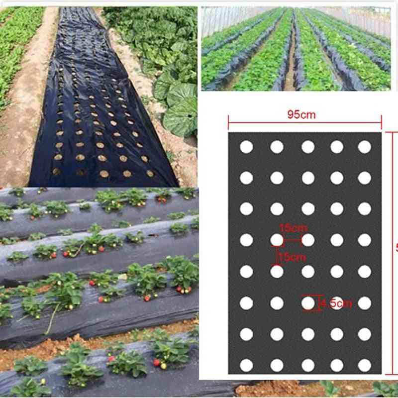 Membrană vegetală- plante agricole mulcire însămânțare plastic perforat film pe