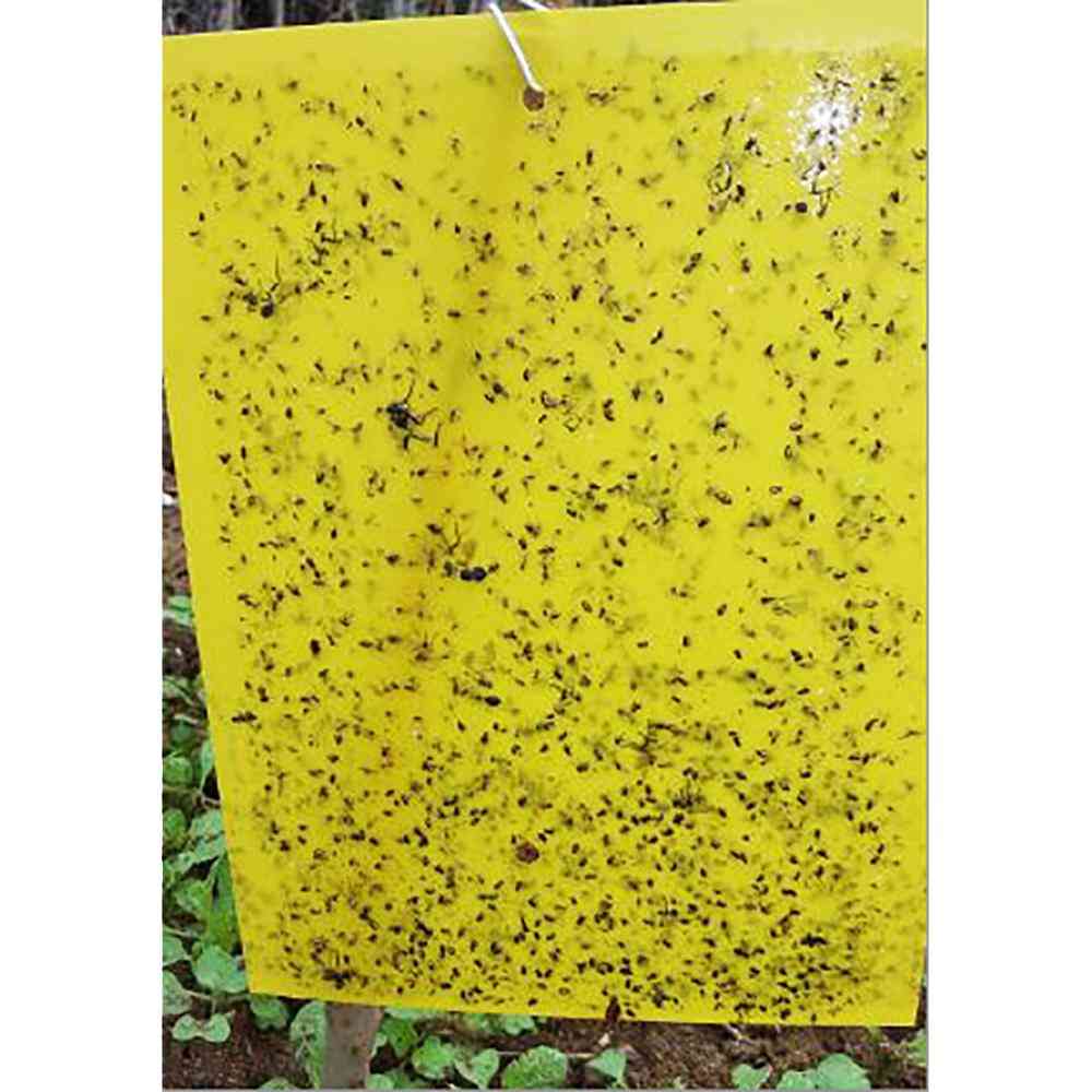 Two Sided Stickers Glue Fruit Fly Bug Killer Insects Yellow Hang Catcher Fly Trap Board Pest Control Kitchen Farm Plant Garden