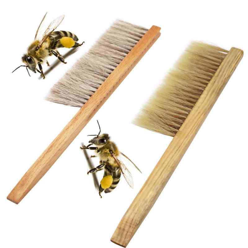 Včelařské nástroje - dřevo, štětec, včelí včelí zametání