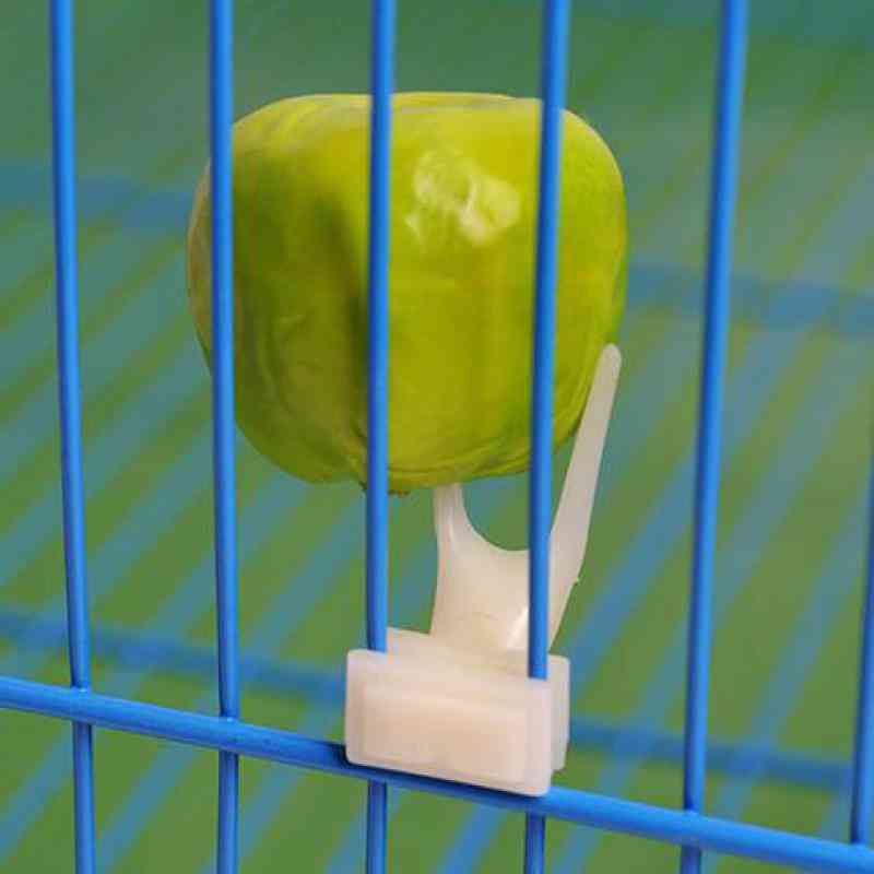 Birds Parrot Fruit Fork Pet Supplies -plastic Food Holder
