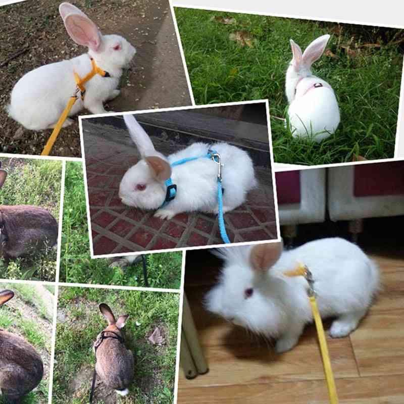 Guinzaglio per imbracatura morbida per conigli per animali domestici corda di trazione regolabile per coniglietto per correre a piedi