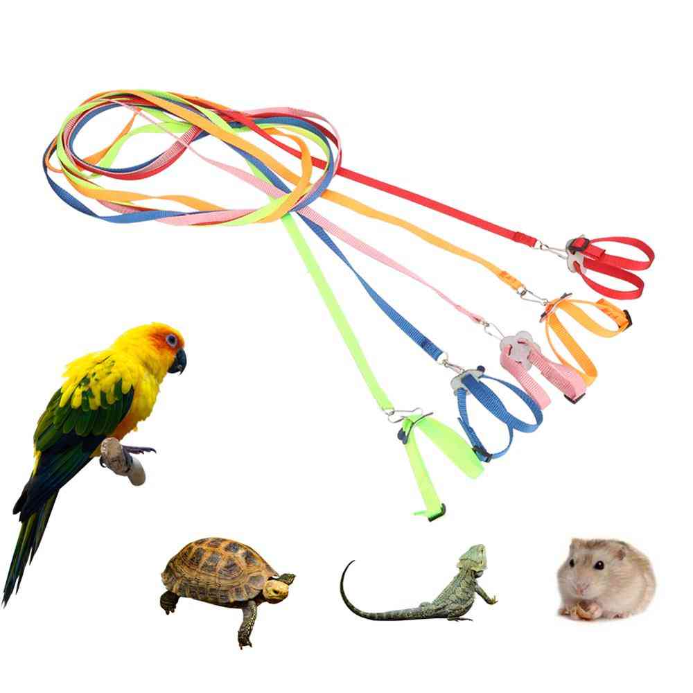 Adjustable Pet Harness Reptile Leash Turtle Gerbil Lizard Outdoor Training, Soft Strap Anti Bite Multicolor Light Traction Rope