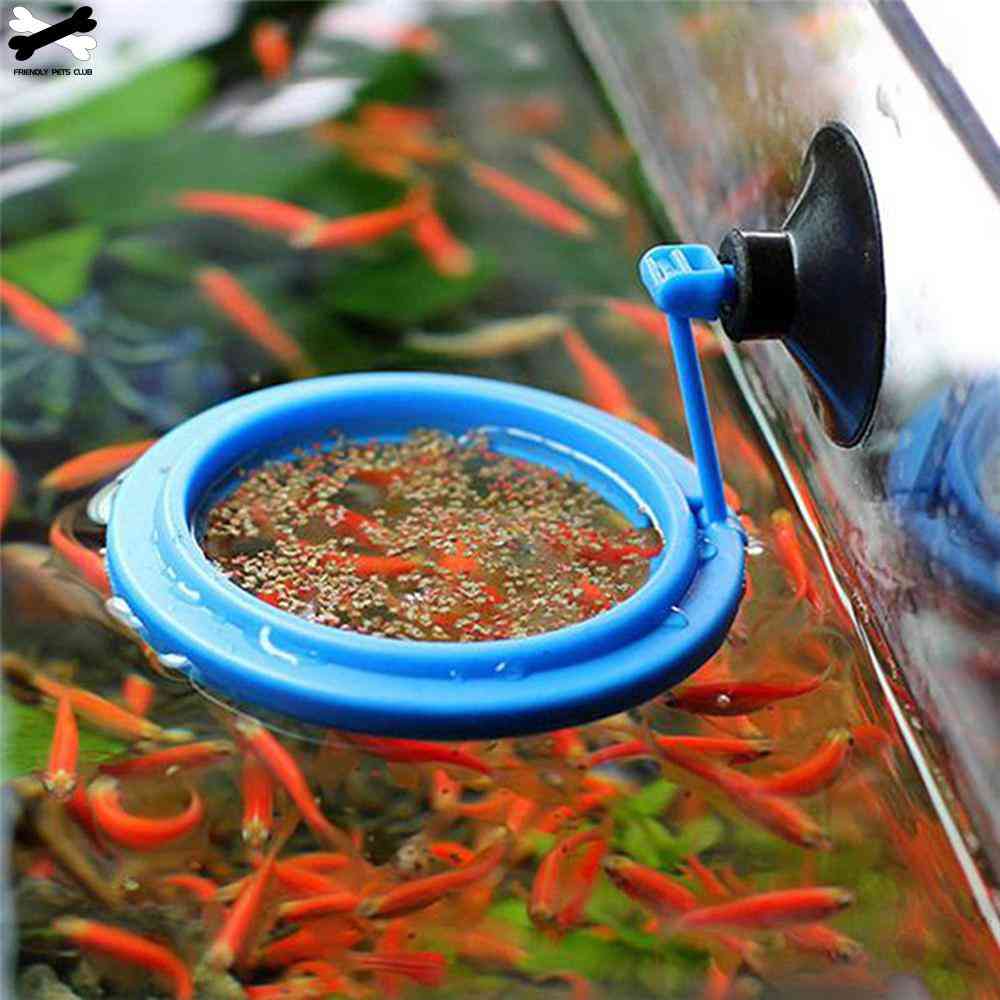 Aquarium Feeding Ring Fish Tank Station Floating Food Tray Feeder Square Circle Accessory Water Plant Buoyancy Suction Cup