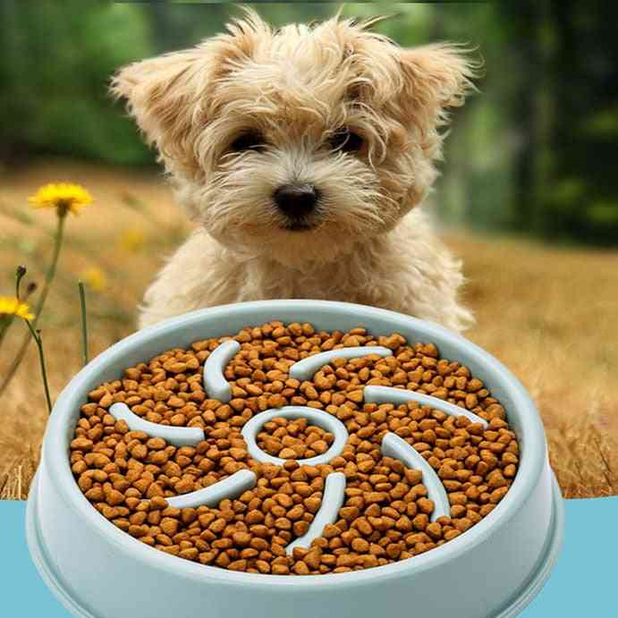 Cat Dog Feeder Puppy Nonslip Dog Food Bowl Dog Products Safe And Harmless Plastic