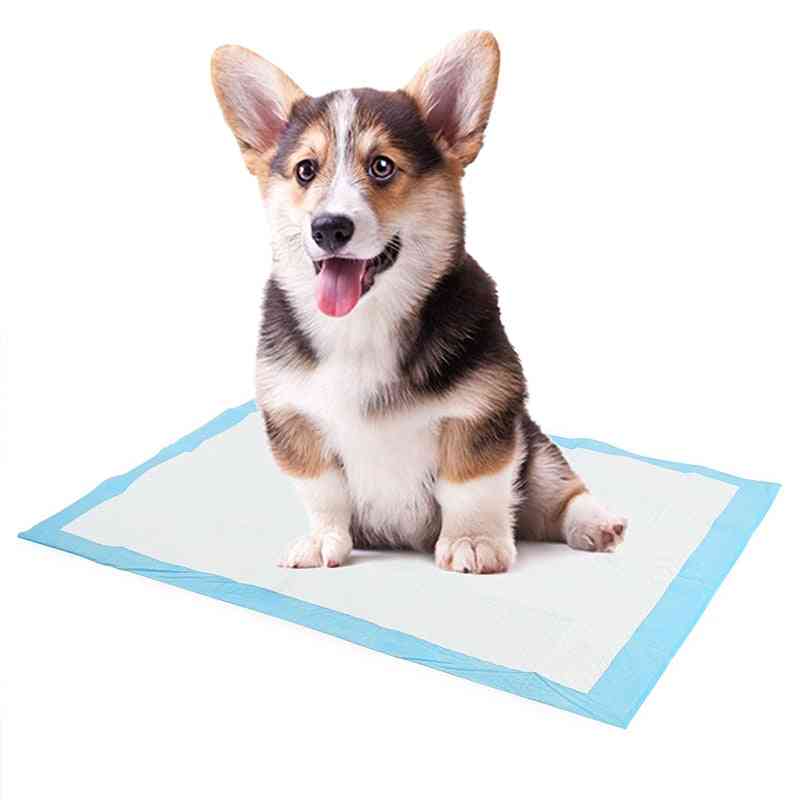 Super Absorbent Pet Diaper Dog Training Disposable Pee Pads - Healthy Nappy Mat For Cats, Dog