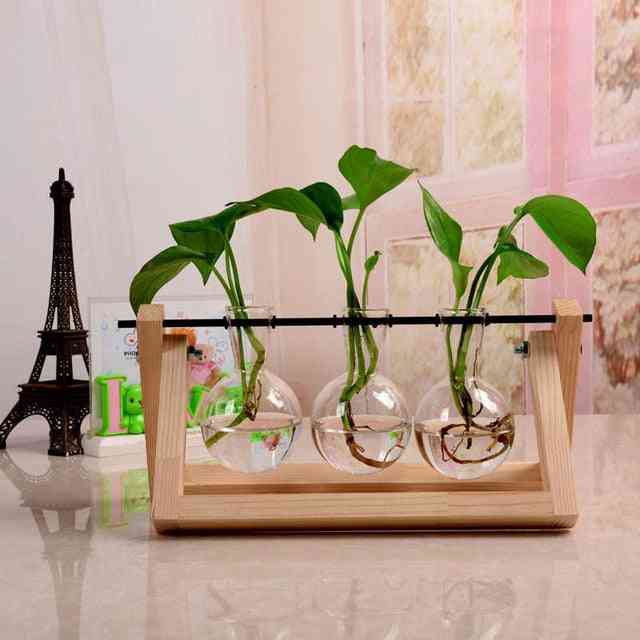 Creative Hydroponic Plant - Transparent Terrarium Wooden Frame Vase Decorations
