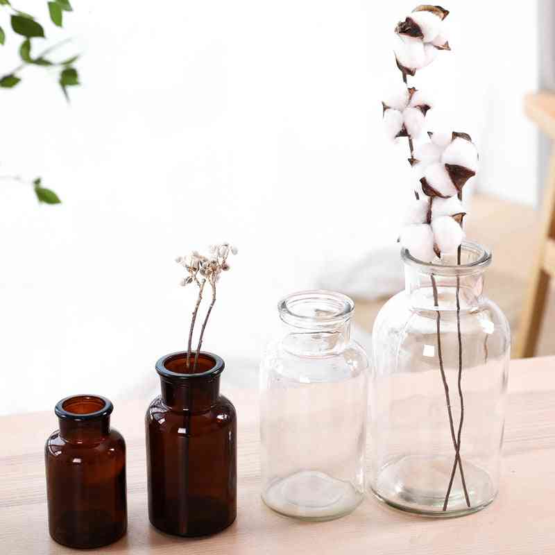 Decoración de flores secas florero transparente - pequeña planta hidropónica botella de vidrio decoración de la sala de estar