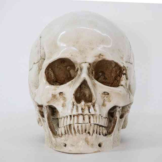Kreatywna żywica model czaszki replika rzeźby Halloween wystrój domu - 1szt