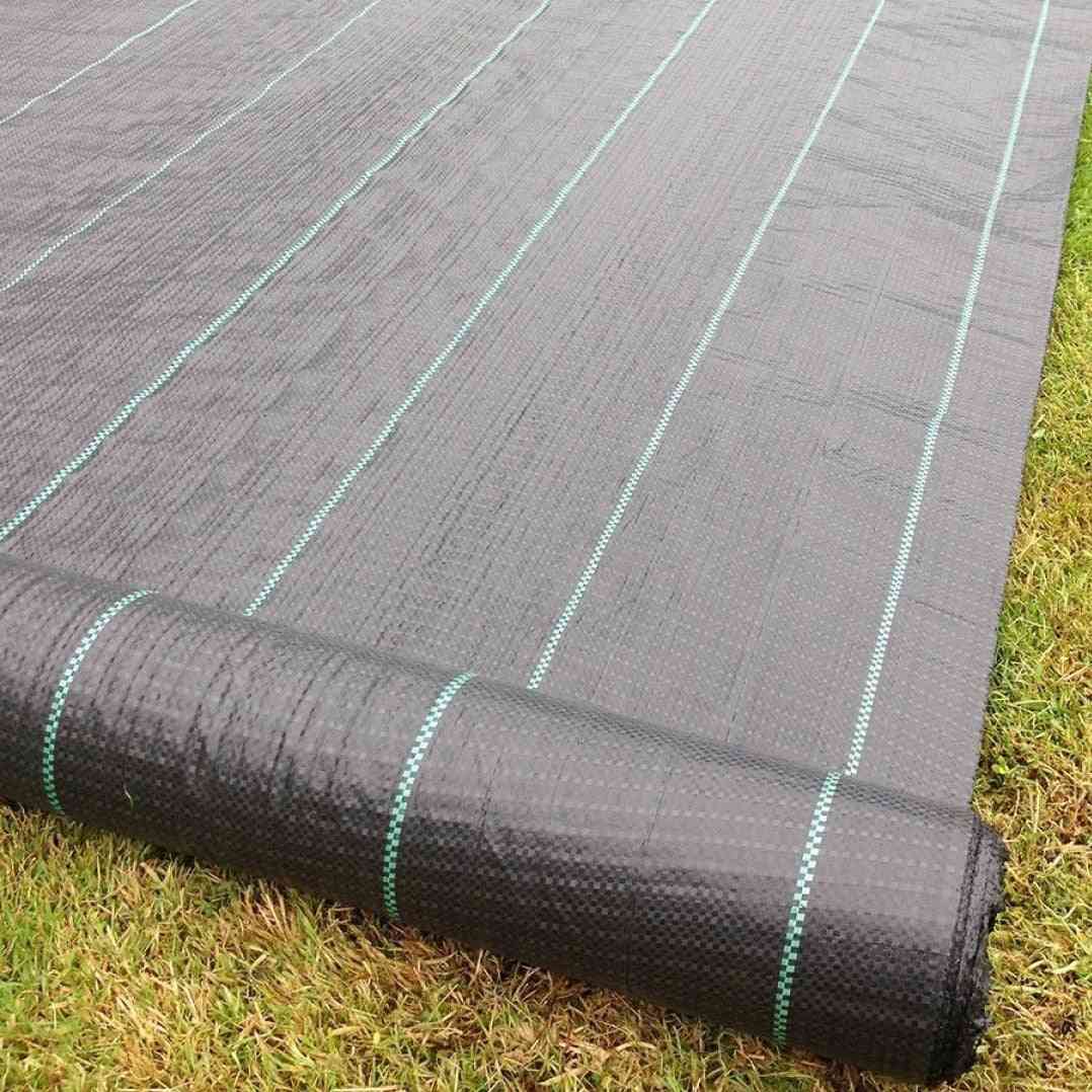 Tissu de désherbage doublé résistant 100g / m2 - membrane de couverture de sol d'aménagement paysager - 2x5m