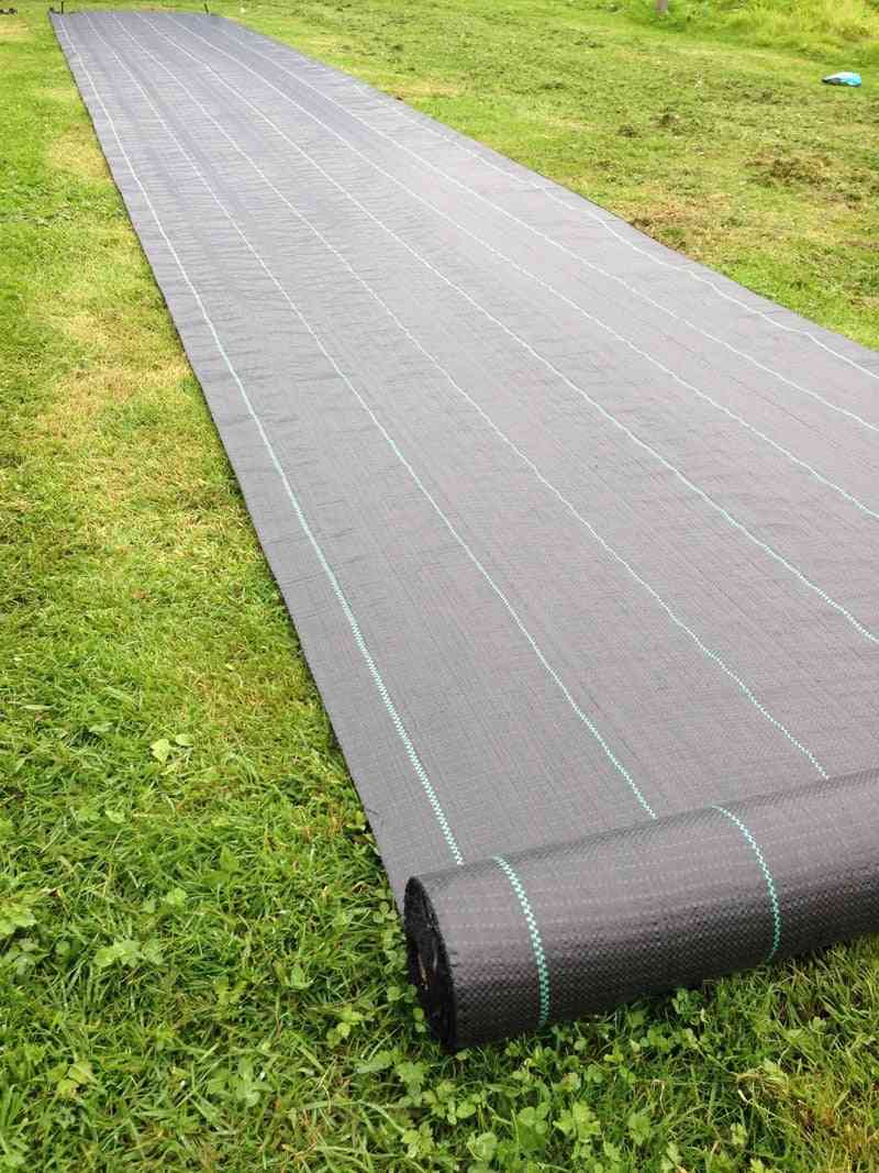 Tissu de désherbage doublé résistant 100g / m2 - membrane de couverture de sol d'aménagement paysager - 2x5m