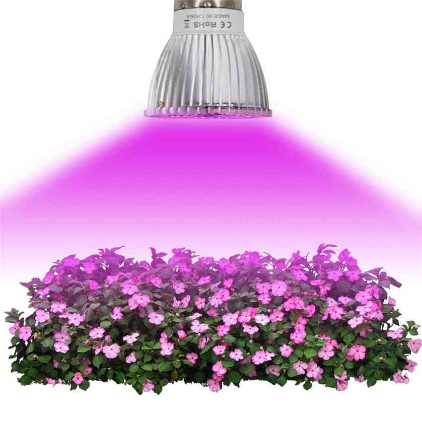 Led växa ljus veg blomma inomhus växt hydroponics fullspektrum lampa - e27