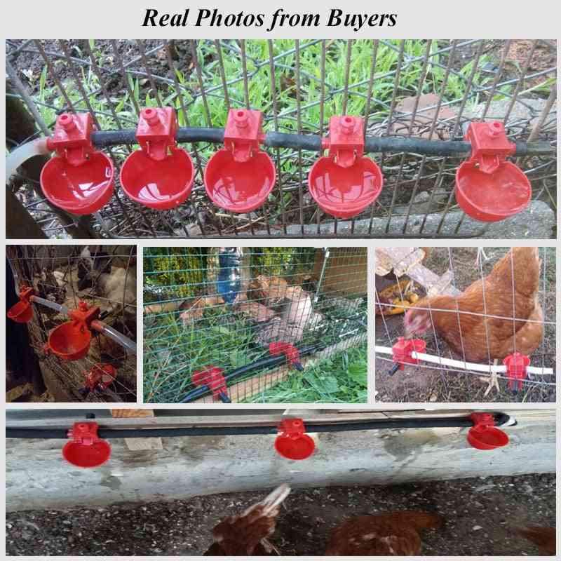 Ciotole per acqua potabile per galline galline quaglia uccelli - forniture per animali da allevamento di pollame - come l'immagine / 30 set