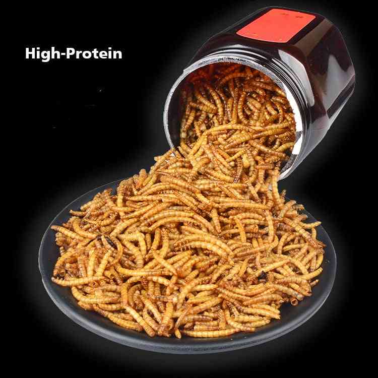 Freeze Dried Nutritious Protein Mealworm Food, Ant Farm Accessories