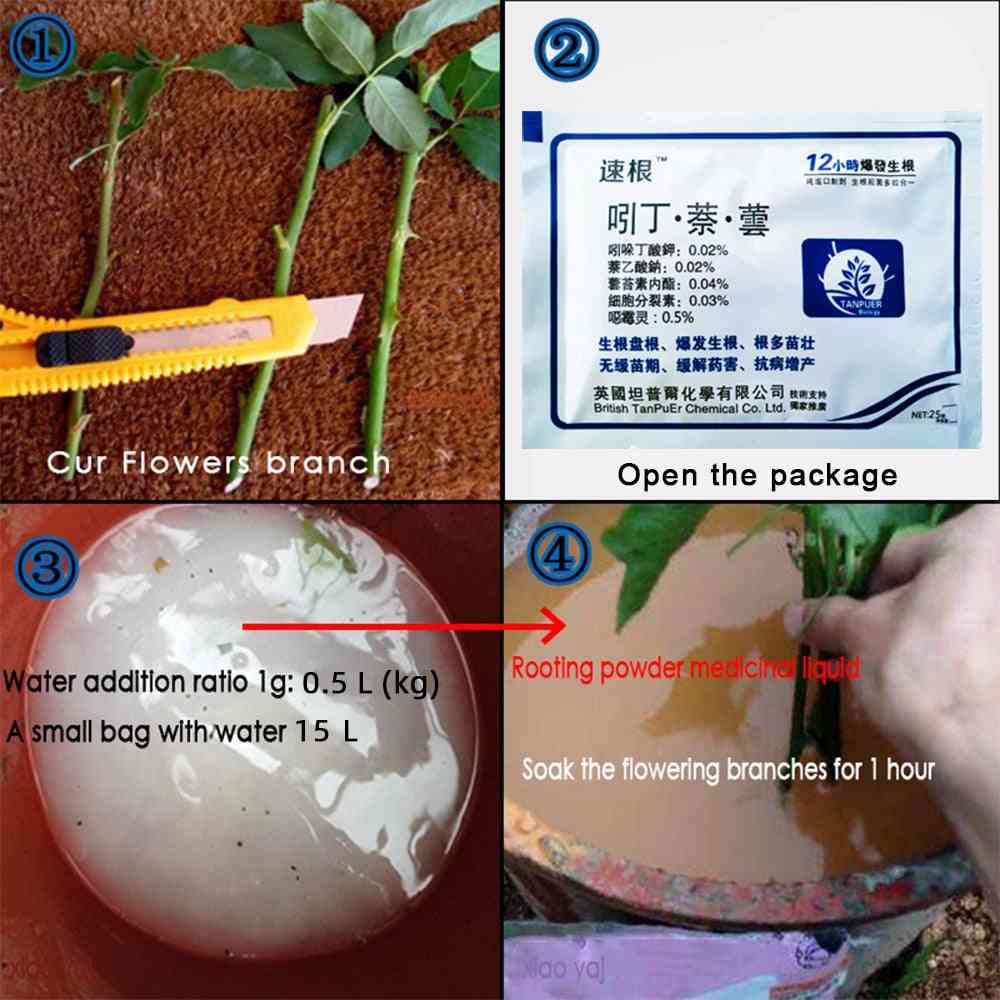 Bonsai Fast Plant Growth Root Medicinal Hormone Regulators 25g - Growing Seedling Recovery, Germination Vigor Aid Fertilizer