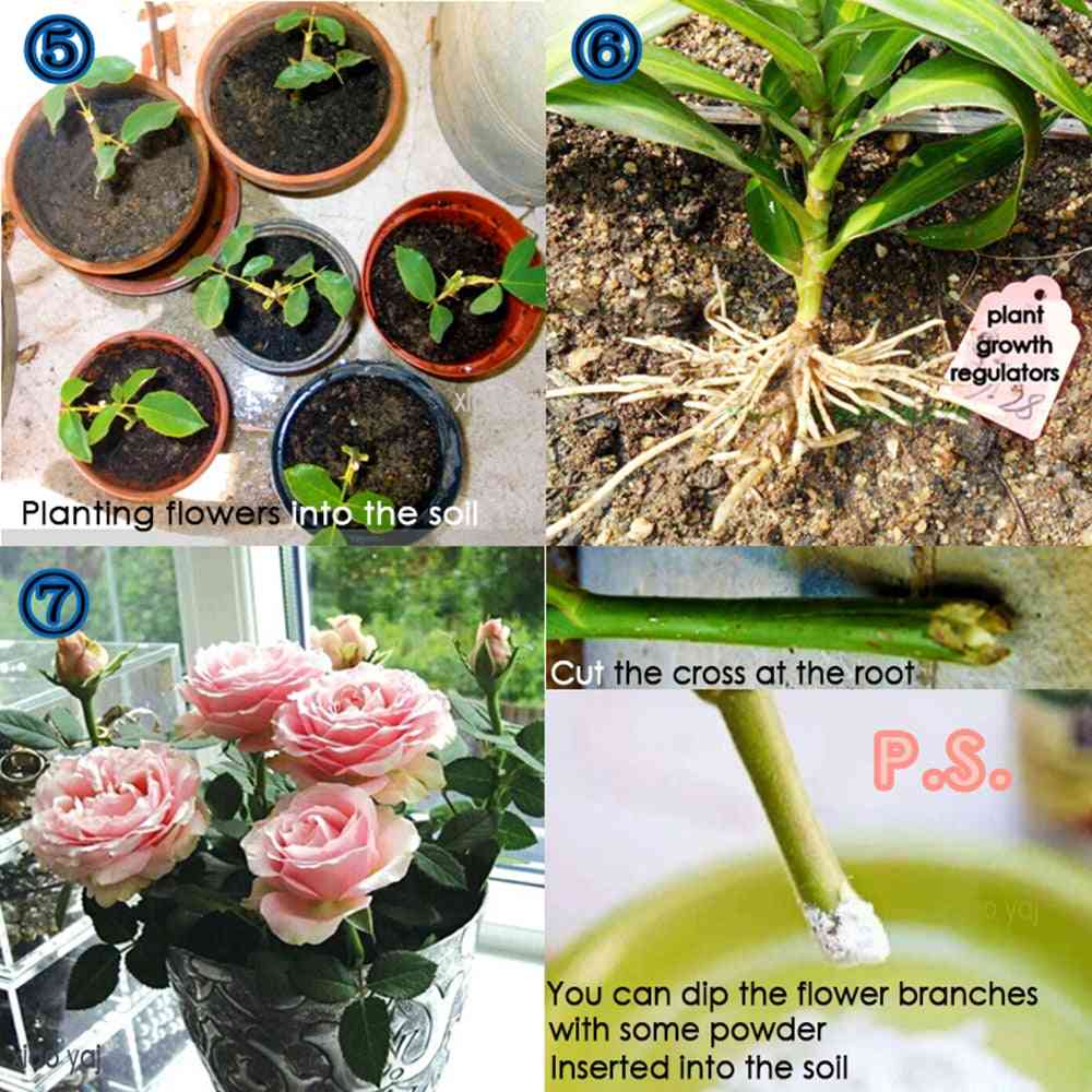 Bonsai brzi rast biljaka korijen ljekovitog hormona regulatori 25g - uzgoj sadnica, gnojivo za poticanje klijavosti