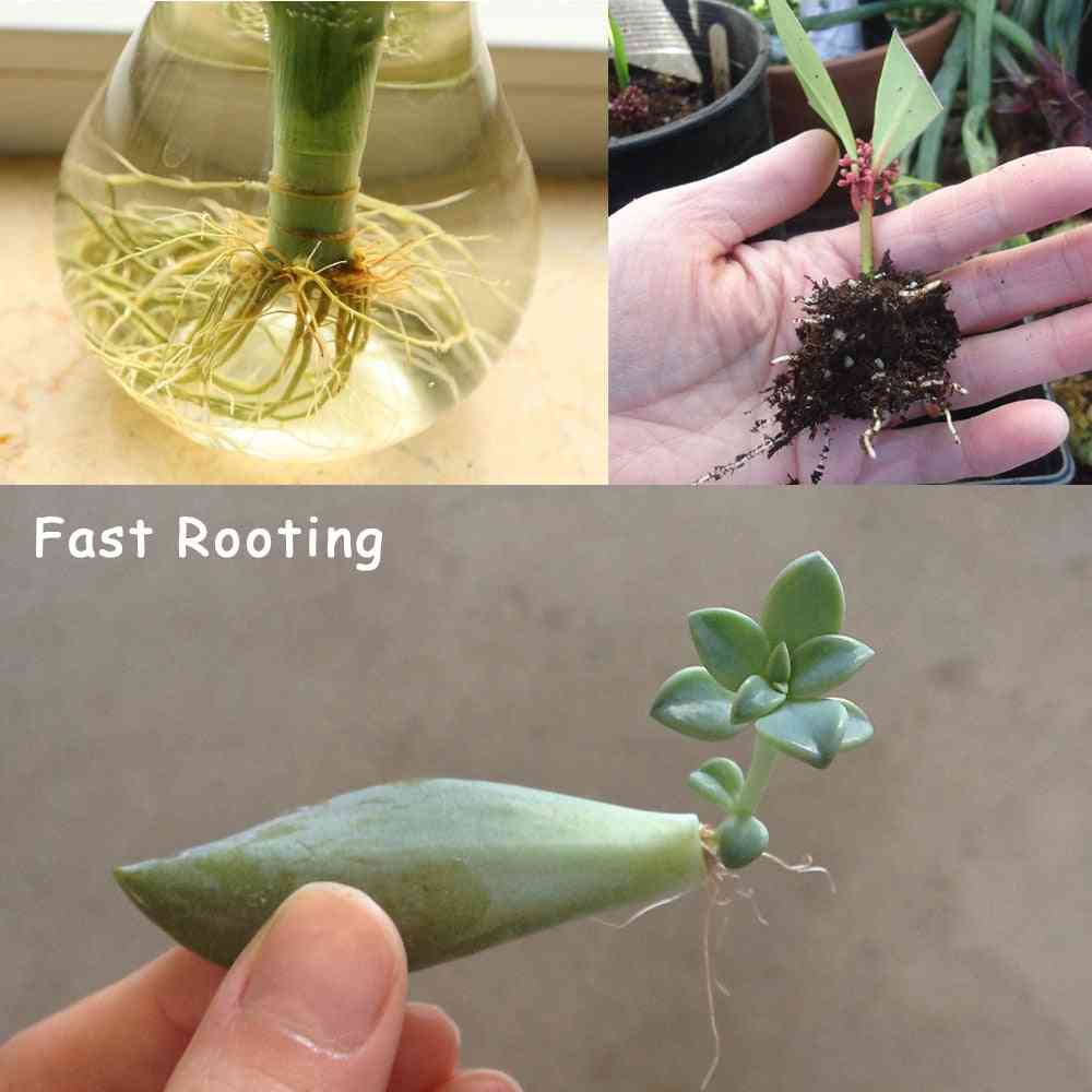 Bonsai crecimiento rápido de plantas reguladores de hormonas medicinales de raíz 25g - recuperación de plántulas en crecimiento, fertilizante de ayuda para el vigor de la germinación -