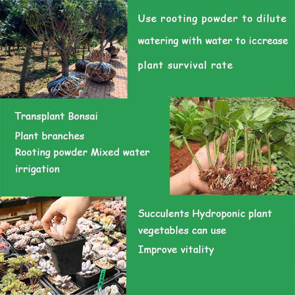 Bonsai snabb växttillväxt rot medicinska hormonregulatorer 25g - växande plantor återhämtning, grobarhet kraft hjälp gödningsmedel -