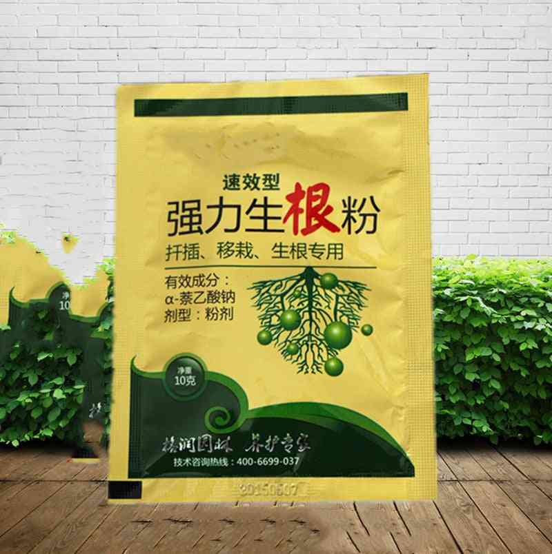 10gm Plant Rapid Growth Regulator Root Powder For Garden Bonsai