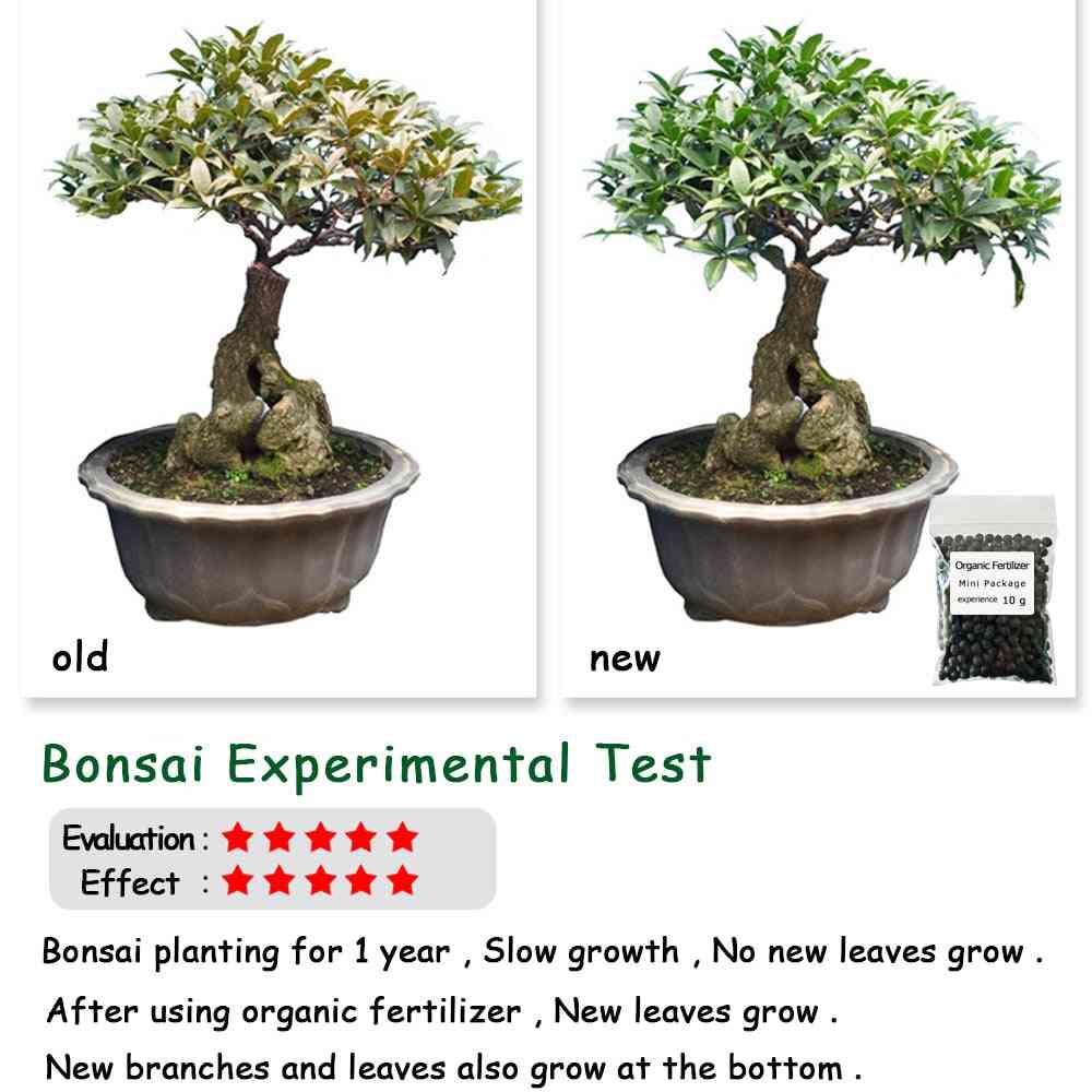 10g - General Purpose Safe And Pollution Free Organic Fertilizer For Garden Bonsai