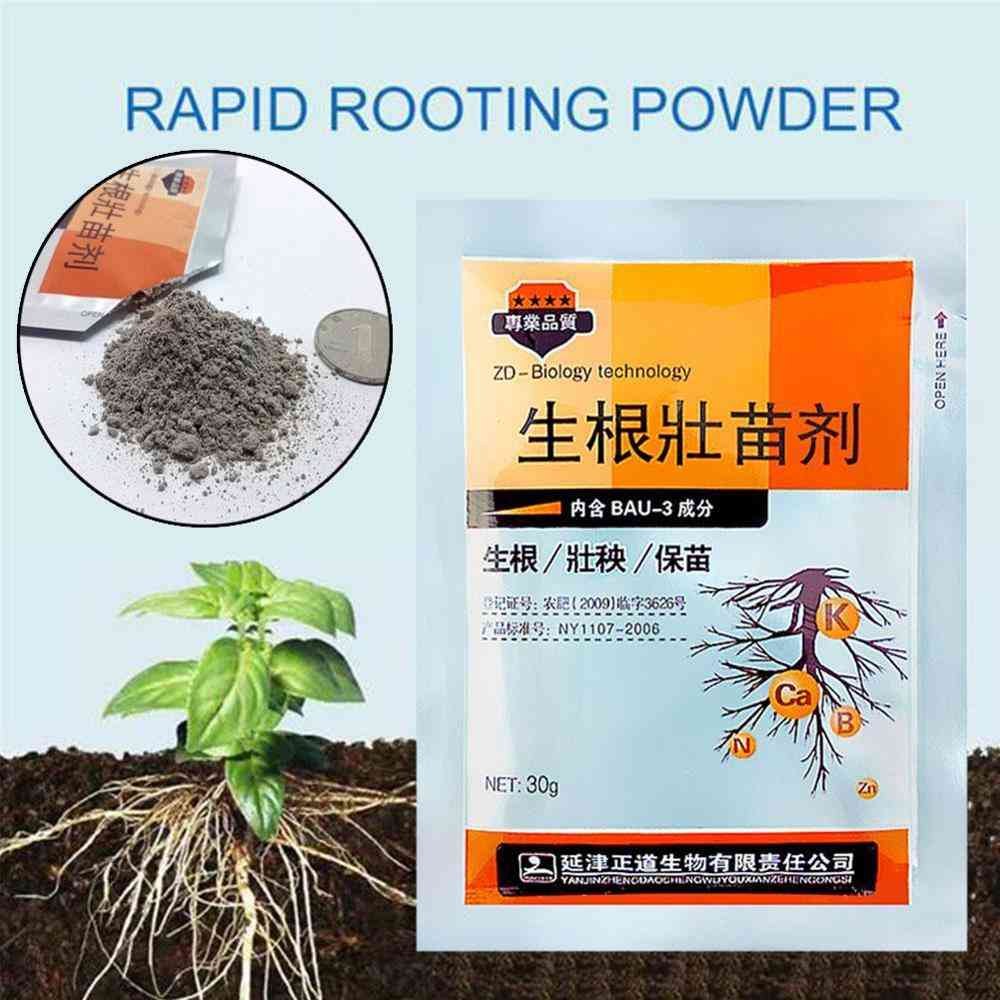 Garden Plants Quick Rooting Strong Germination Aid Powder 30g - Rapid Medicinal Seedling Agent For Cutting Soaking Fertilizer Trees