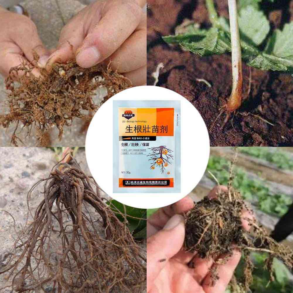 Trädgårdsväxter snabbt rotande starkt grobarhetshjälpmedel pulver 30g - snabbt läkemedelsplantor för att skära blötande gödningsmedelsträd -