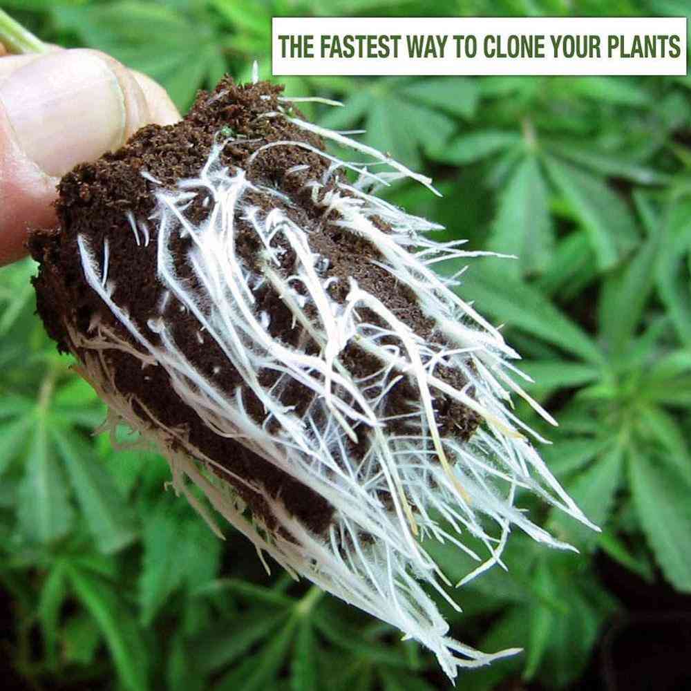 Puutarhakasvit nopeasti juurtuva vahva itävyyden jauhe 30g - nopea lääkekasvien taimea lannoitepuiden leikkaamiseen