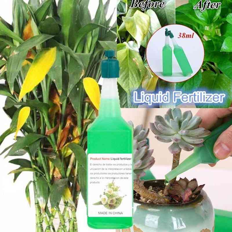 Hydroponic Plant Nutrient Solution Fertilizer - Rich Bamboo Flower Fertilizer, Potted Green Concentrated Foliar Seed Fertilizer