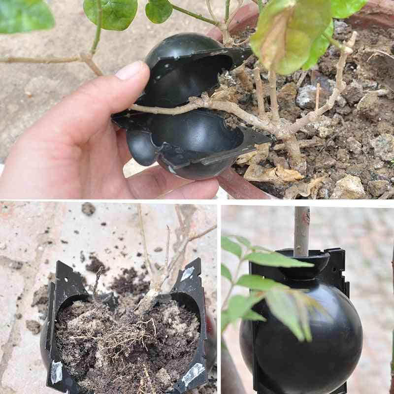 Boîte de culture de racine de plante à boules, greffage, étui d'élevage pour plante de jardin - noir s