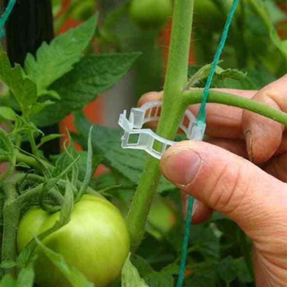 Spony na podporu rostlin pro ochranu nebo zavěšení skleníkové zeleniny / rostlin