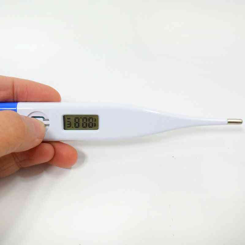 Professional Led Electronic Thermometer For Pets