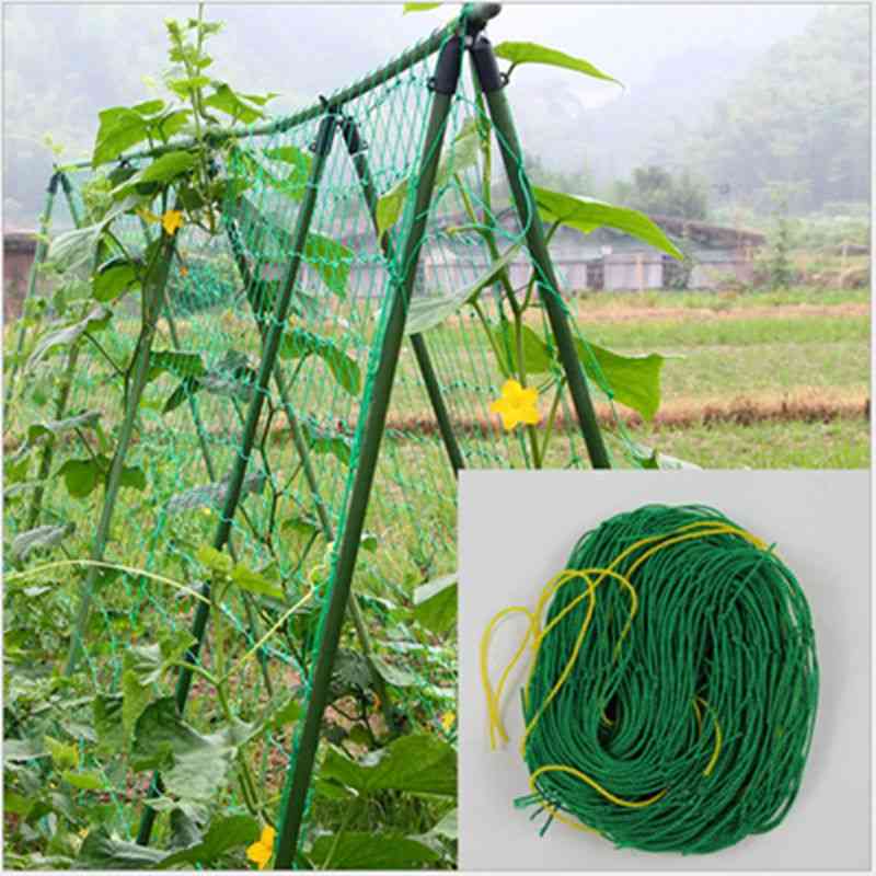 Ochtendglorie zware nylon netsteun voor komkommer, petunia-bloemen, groenten, latwerkplantnet - 90x180