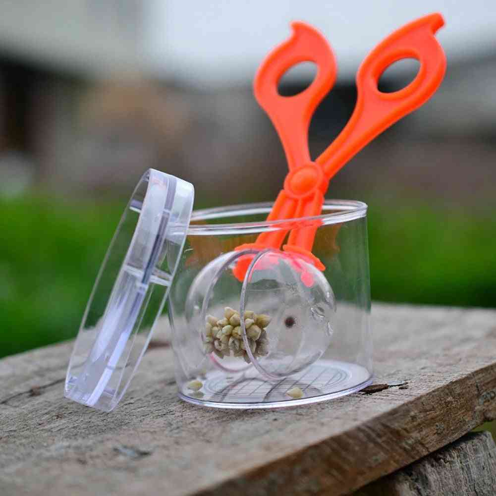 2kpl / set bug hyönteisten sieppari sakset pihdit pinsetit puristinpuhdistustyökalu lasten lelu (kuvana)