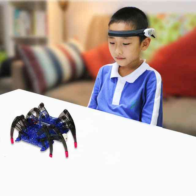 Children's Educational-spider Design, Brain Wave Detector Robot