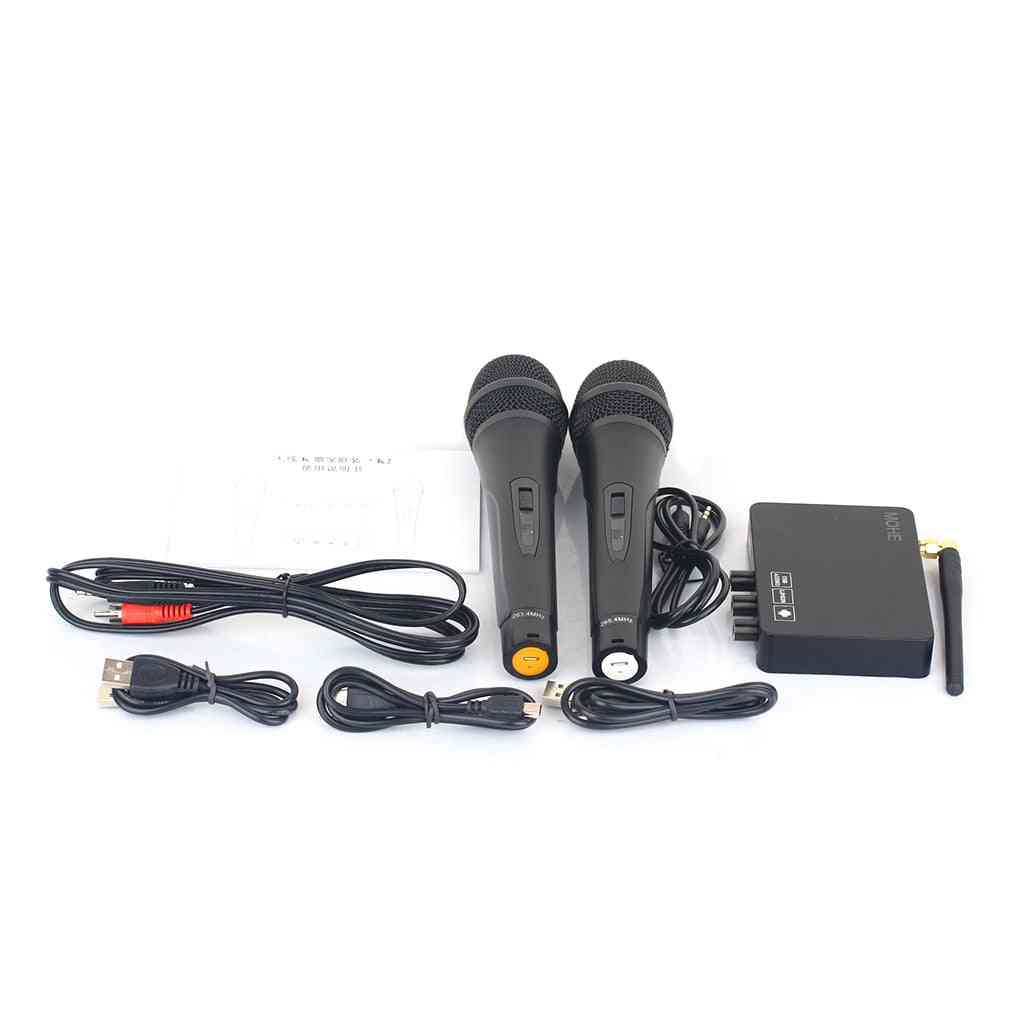 Wireless Mini Home Echo Karaoke Systems