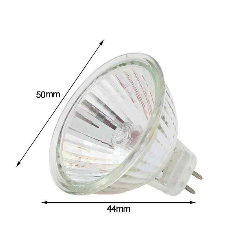 Halogen Bulb - Clear Glass Dimmable Spot Lights, Warm White